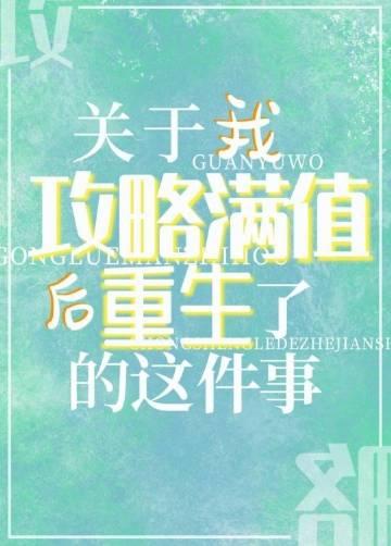 关于攻略的