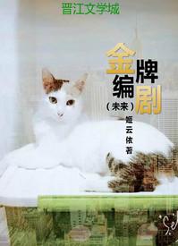 金牌编剧(未来) 番外