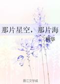 那片星空那片海简介