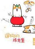 遛狗的陈先生txt宝书网