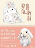 新手养兔指南可打印