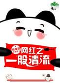 网红一股清流