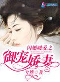 闪婚宠妻