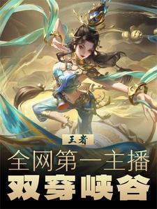 王者荣耀 双穿