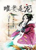 唯老婆是命全文阅读
