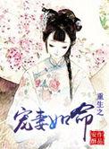 重生之宠妻如宝番外