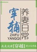 宰辅宠妻日常txt