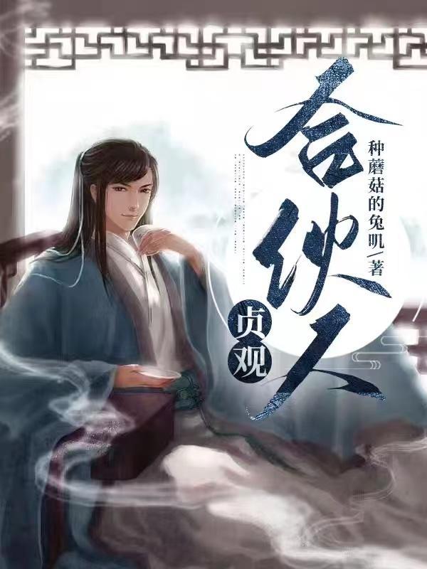 贞观是谁的