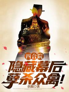 四合院讲的是什么