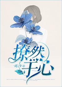 撩然于心——一砾沙