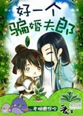 类似好一个骗婚夫郎文