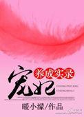 宠妃养成系统