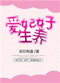 爱妃是啥