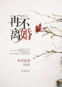 重生之再不离婚gl