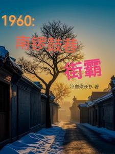 南锣鼓巷视频