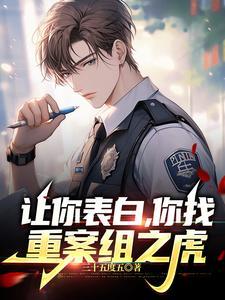 重案组百度百科