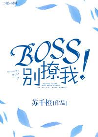 boss别撩我第29章