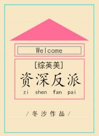 综英美资深反派无防盗