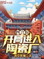 四合院开局娶了