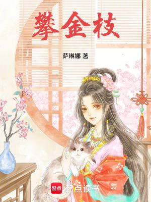 攀金枝讲的什么