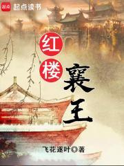 红楼襄王笔趣阁起点