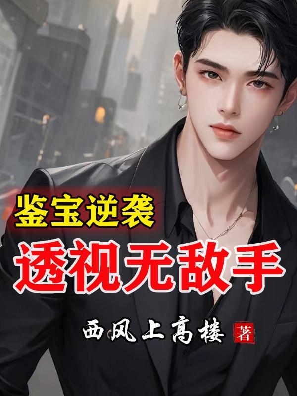 透视鉴宝师