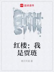 红楼之我是贾琏他哥199