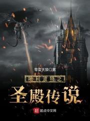 哈利波特之圣杯系统