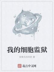 我的细胞监狱雨果团长的本质