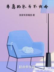 半岛什么样