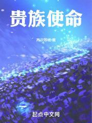 贵族t2