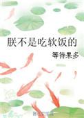 朕不是皇上