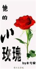 他的小玫瑰by木兮娘讲的什么
