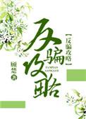 反骗攻略(快穿)无防盗免费阅读