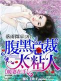 暖婚入怀腹黑总裁深深爱