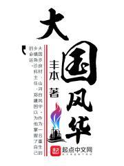 大国风华 起点