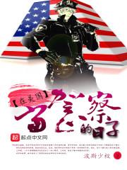 在美国当警察的日子讲的什么故事