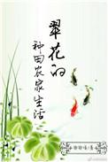 电视剧翠花的婚姻生活剧情介绍