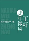那年风吹过