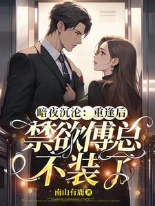 男主角叫傅夜沉的