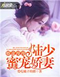 婚途漫漫陆总裁请离婚