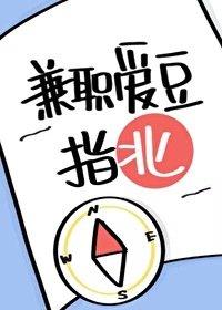 兼职爱豆指北cp是谁
