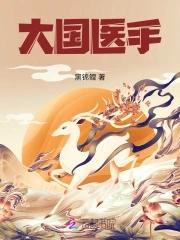 大国医手在都市