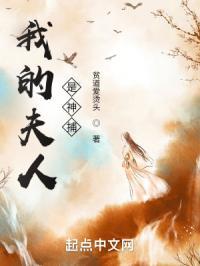 我的夫人是神捕境界划分