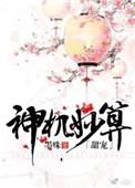 神机妙算写的