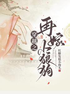 再嫁小夫郎免费阅读