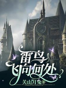 雷鸟是什么东西