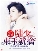 军门霸爱骄妻怀里来