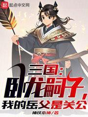 卧龙女婿