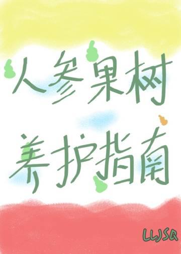 人参果树怎样栽培